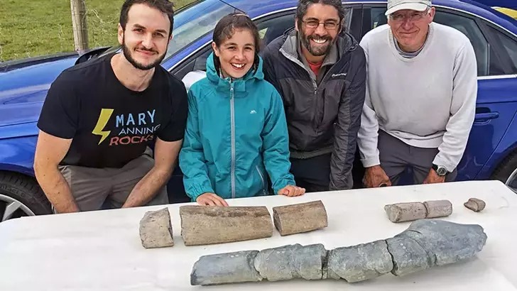 İngiliz kızın bulduğu fosilin 202 milyon yaşında olduğu açıklandı